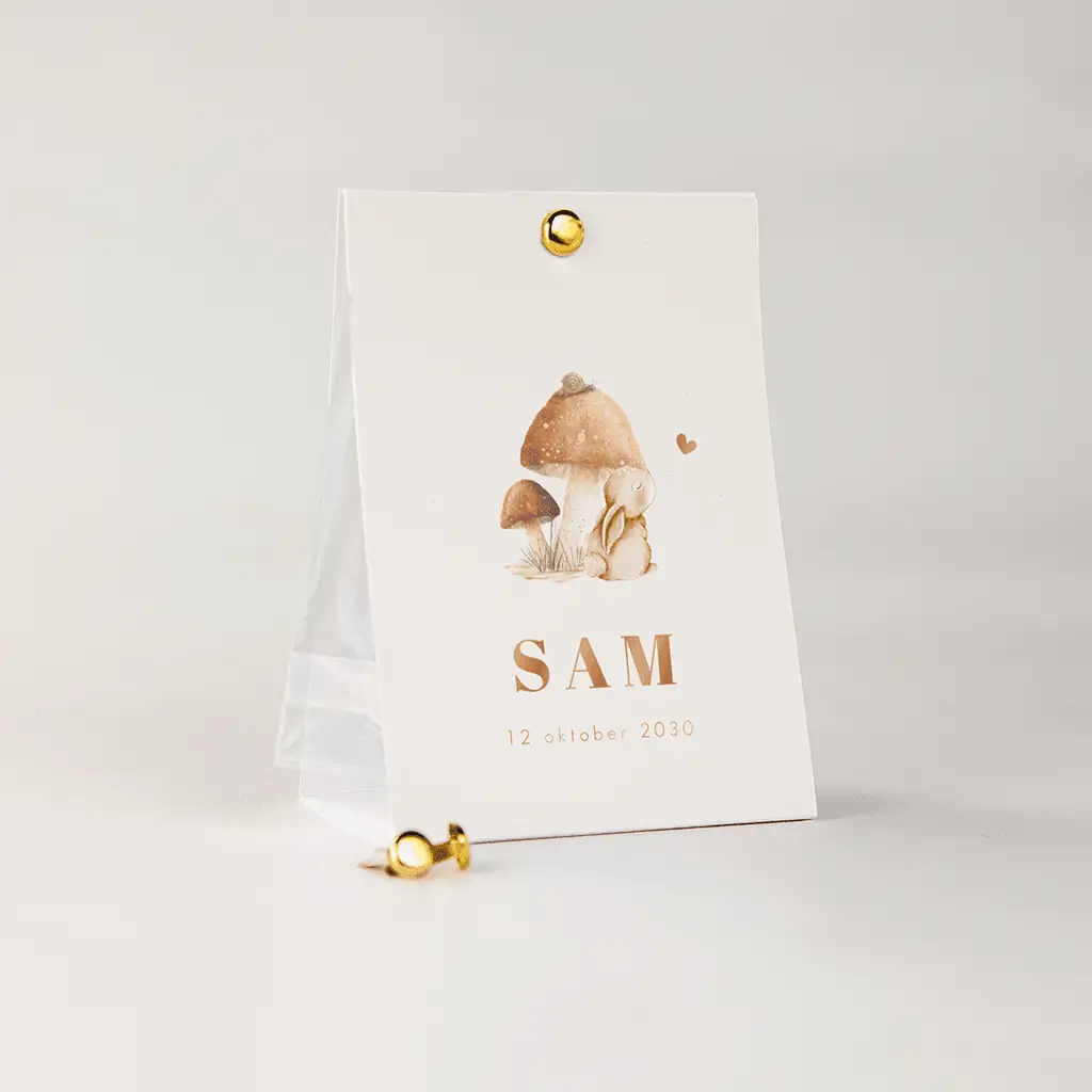 Doopsuiker snoepzakje met konijntje en paddenstoel 