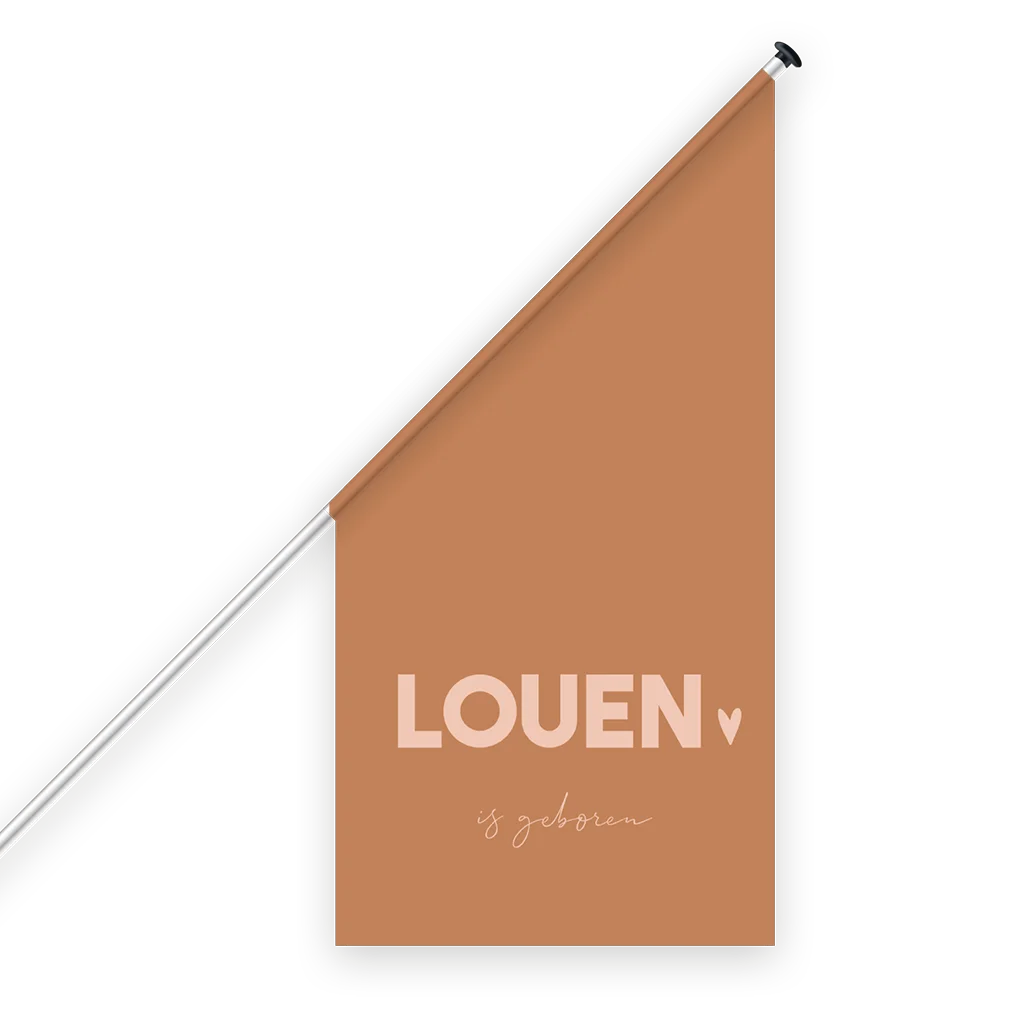 Geboortevlag colorblocking naam