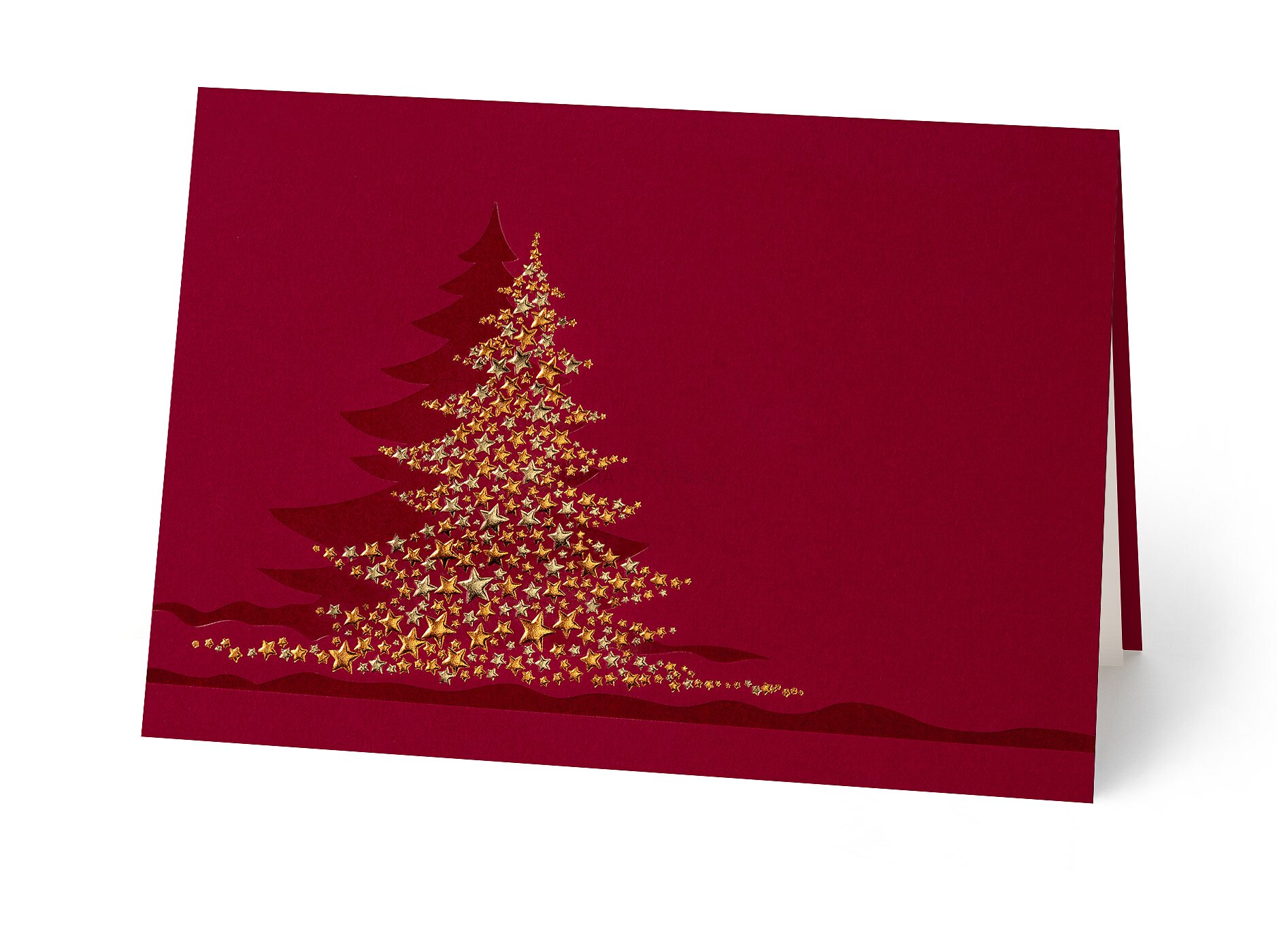 Sternenbaum 67649