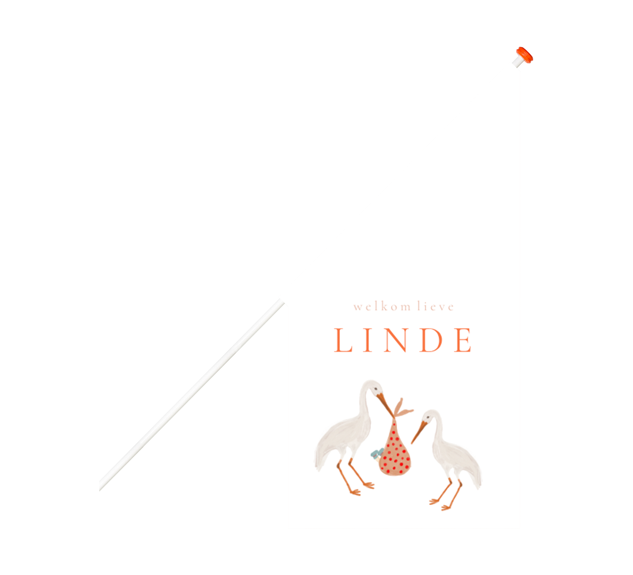 Lieve geboortevlag met ooievaars voor meisje