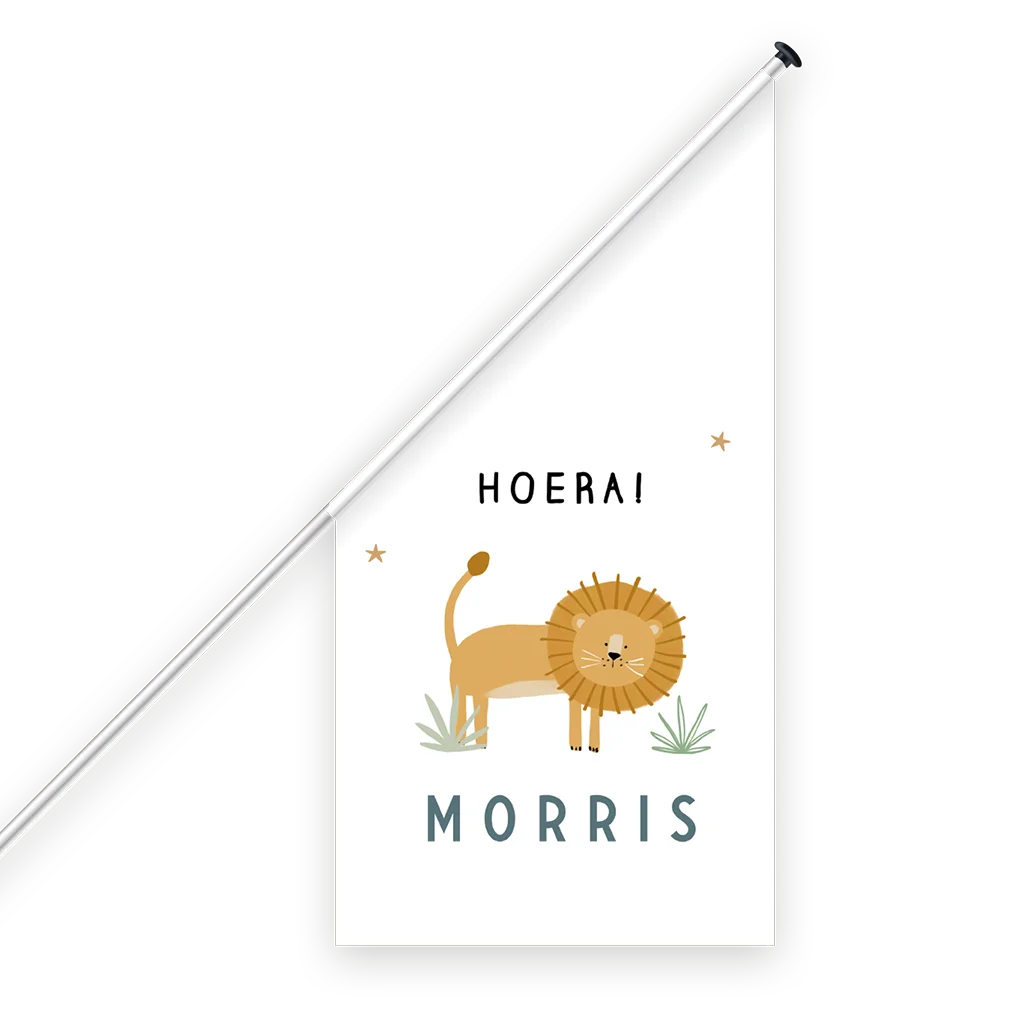 Geboortevlag met leeuwtje