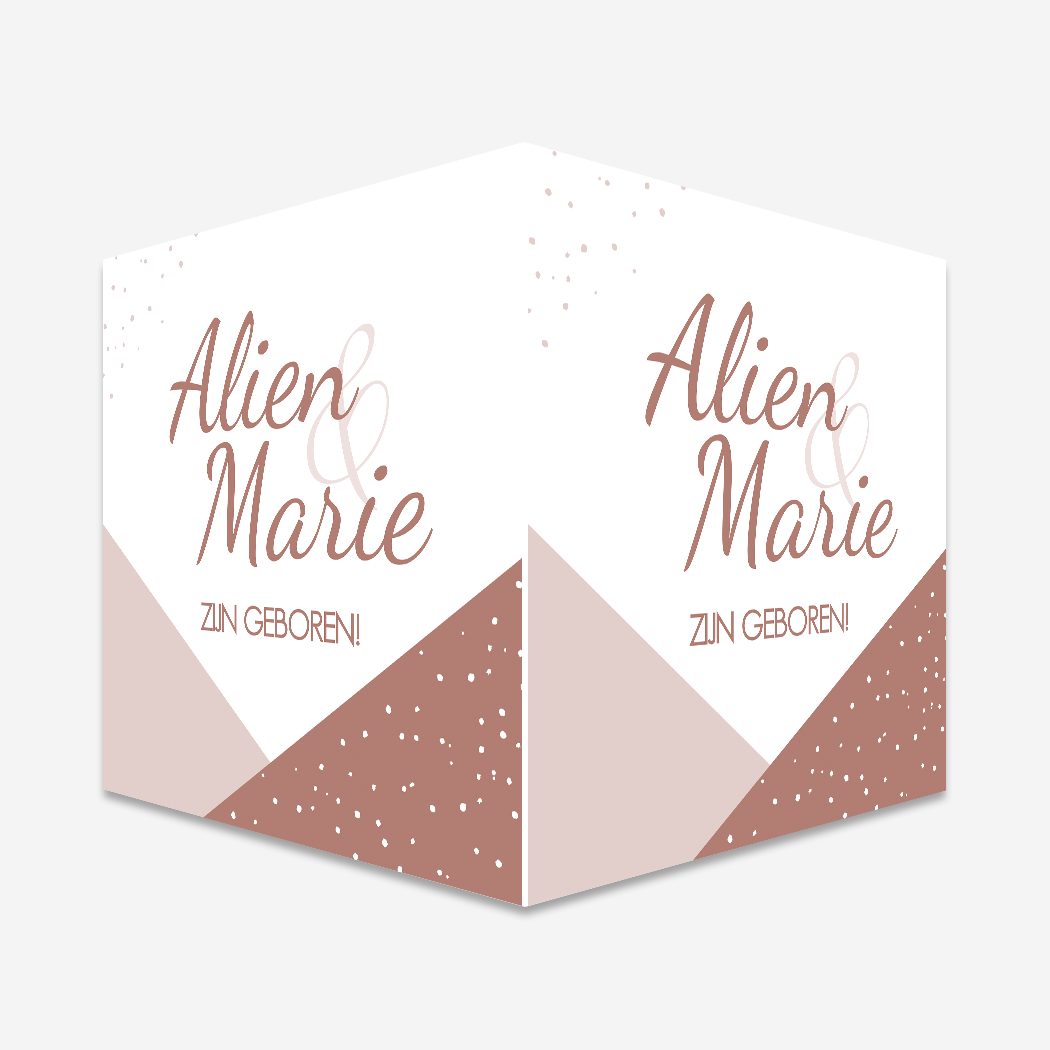 Raambord Geboortebord Roze Tweeling Stippen