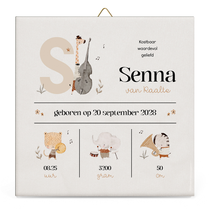 Geboortegegevens unisex geboortetegeltje met dieren en muziek