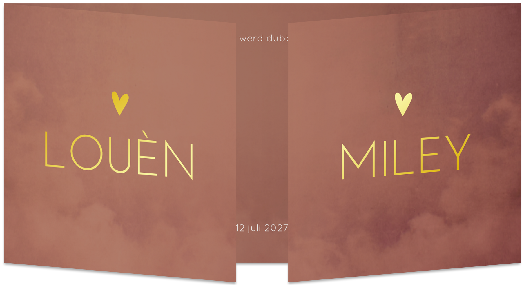 Geboortekaartje Tweeling Luikkaartje Tweeling Modern