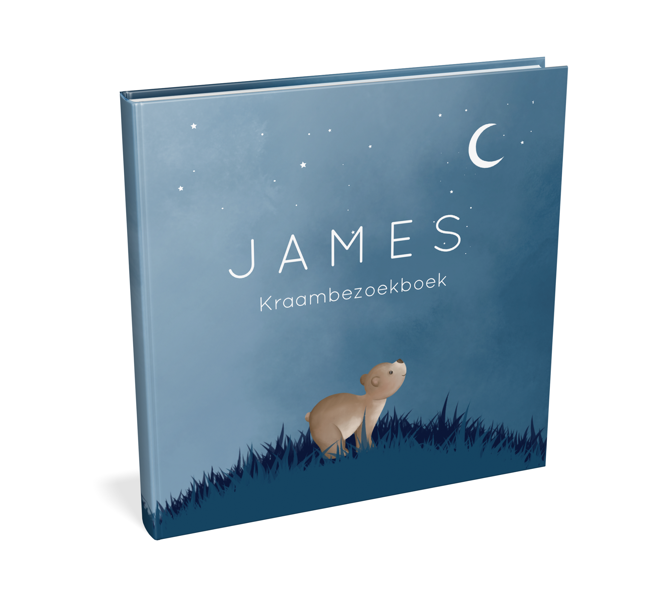 Kraambezoekboek blauw met beer en sterrenhemel