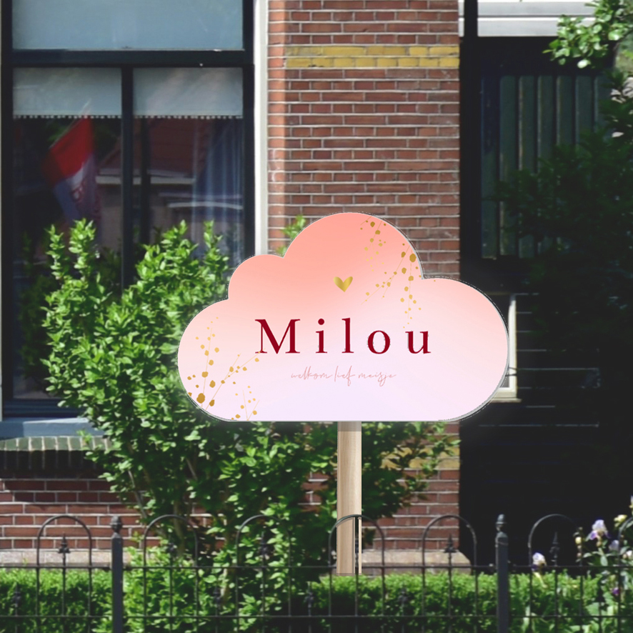 Tuinbord geboorte wolk meisje