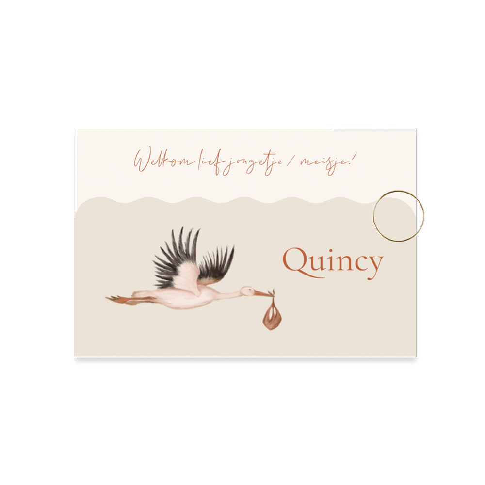 Luxe unisex tweedelig geboortekaartje met illustratie van een ooievaar