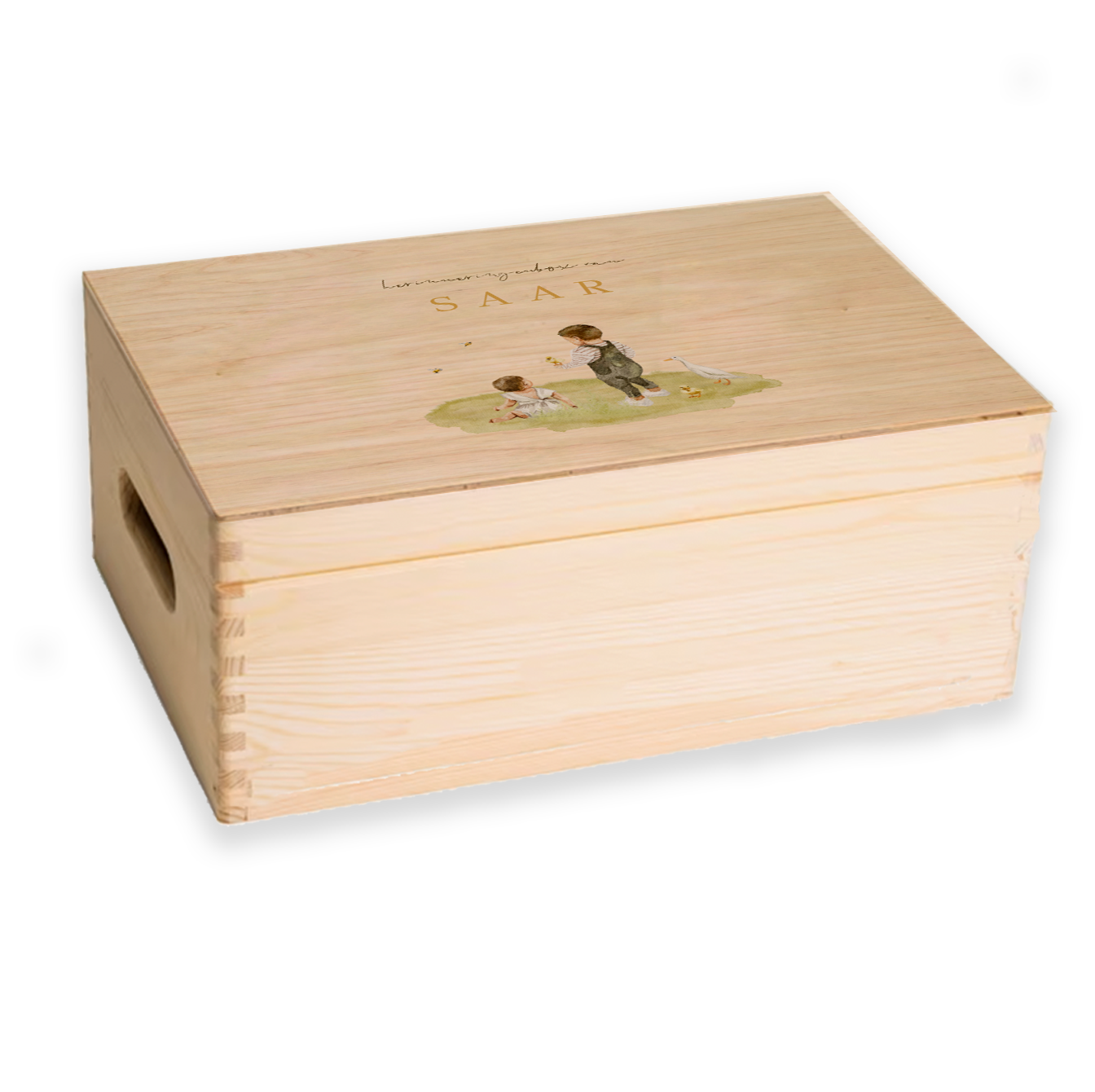 memorybox zusje lente eendjes met grote broer