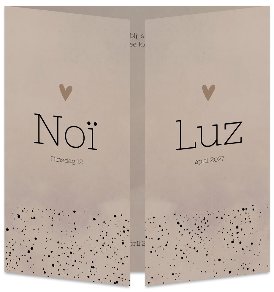 Geboortekaartje Tweeling Luikkaartje Taupe Stippen