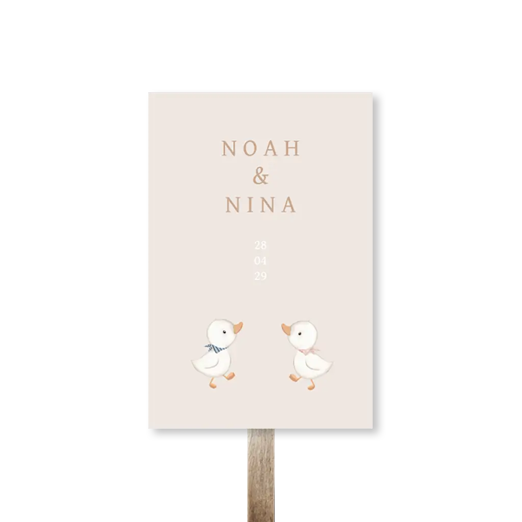 Tuinbord tweeling in beigetinten met twee schattige eendjes