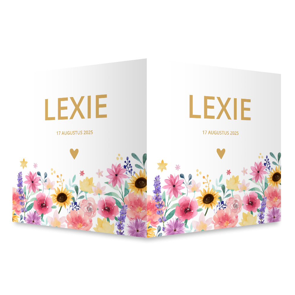 Geboortebord meisje met kleurrijke bloemen