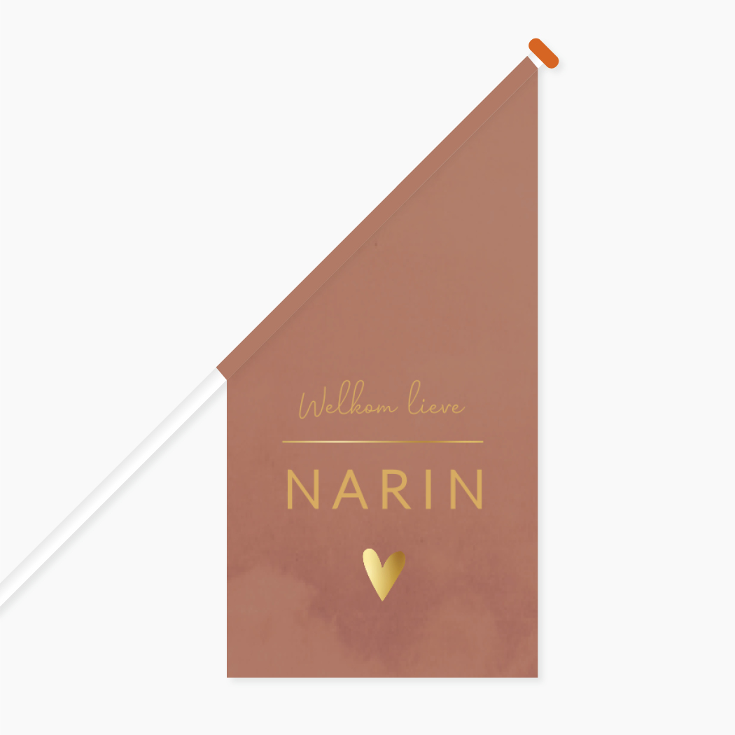 Vlag L Meisje Roze Goudkleur