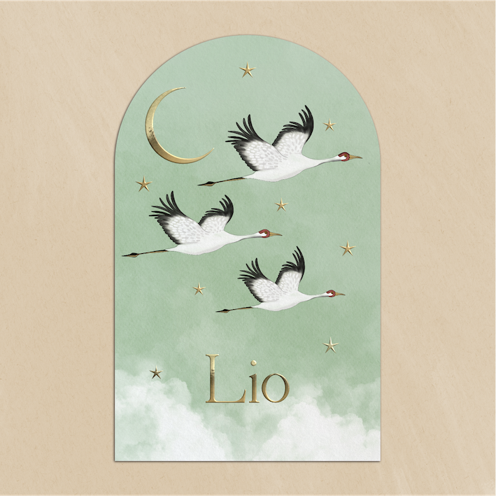 Geboortekaartje Boogvorm Kraanvogels Groen