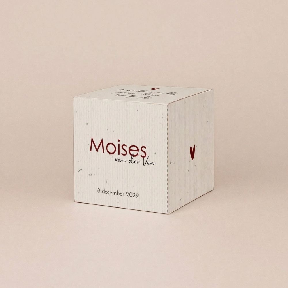 Doopsuiker doosje jongen winter pinguïn