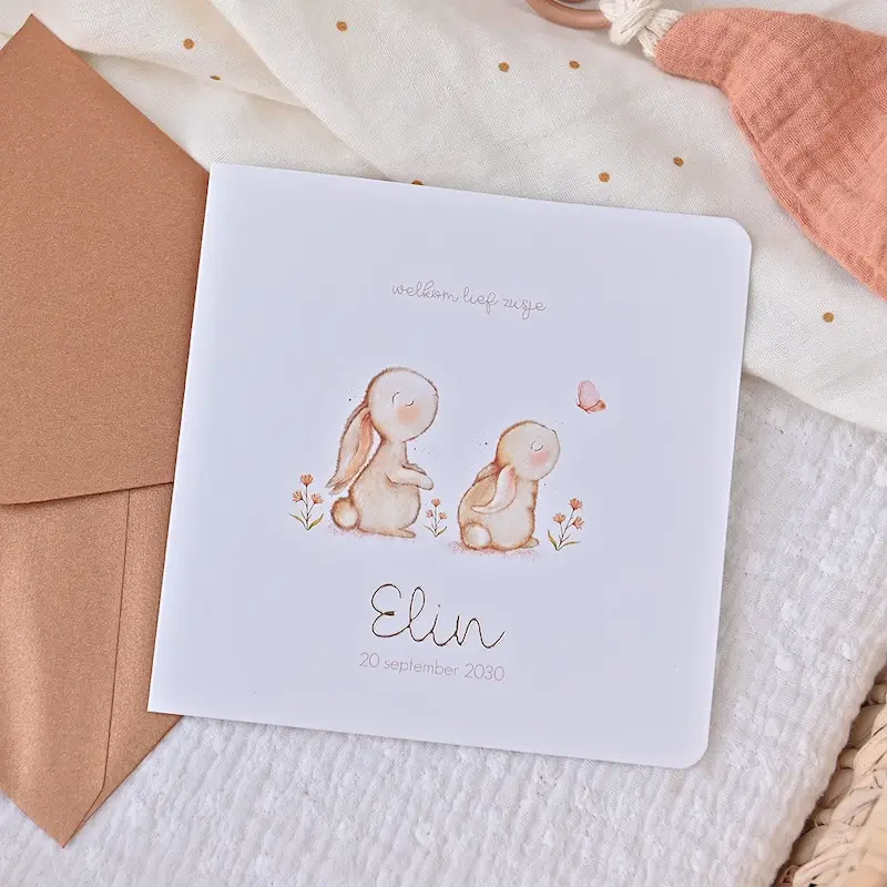 Lief geboortekaartje zusje met konijntjes en vlinder