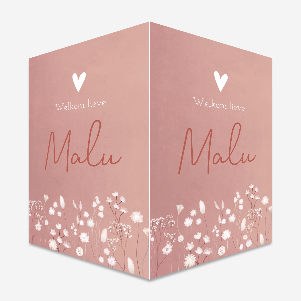 Raambord XL roze droogbloemen romantisch