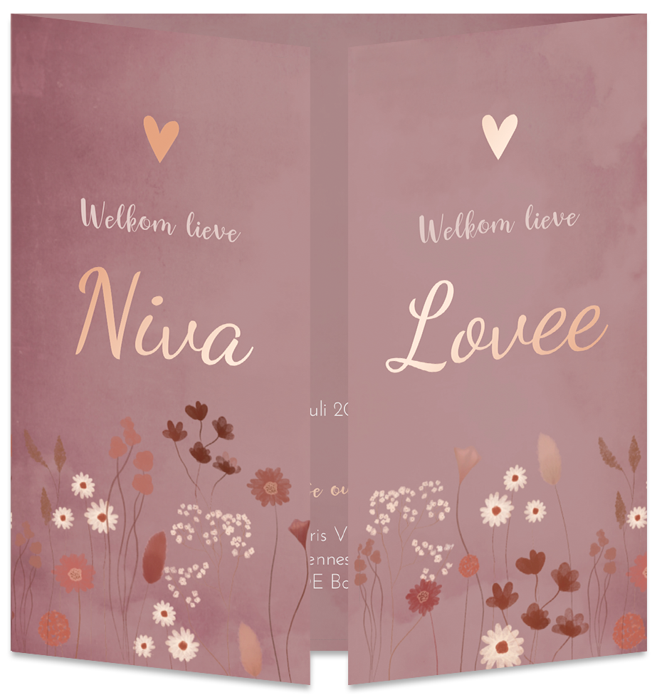 Geboortekaartje Tweeling Roze Luikkaartje Droogbloemen