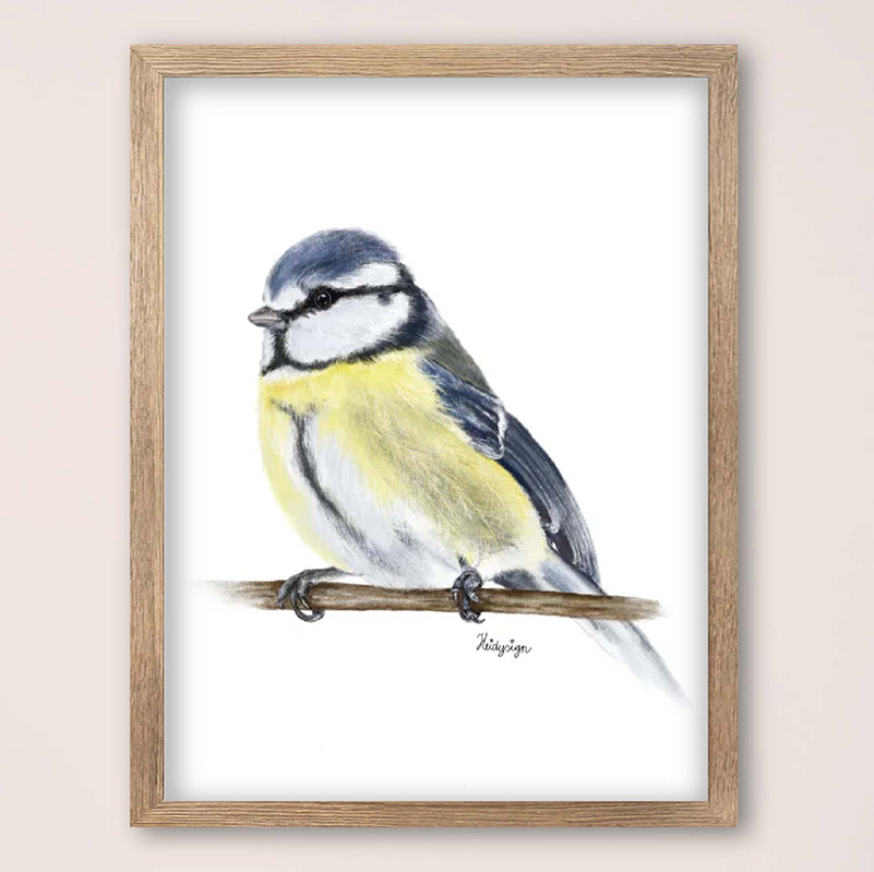 Dieren poster potloodtekening pimpelmeesje