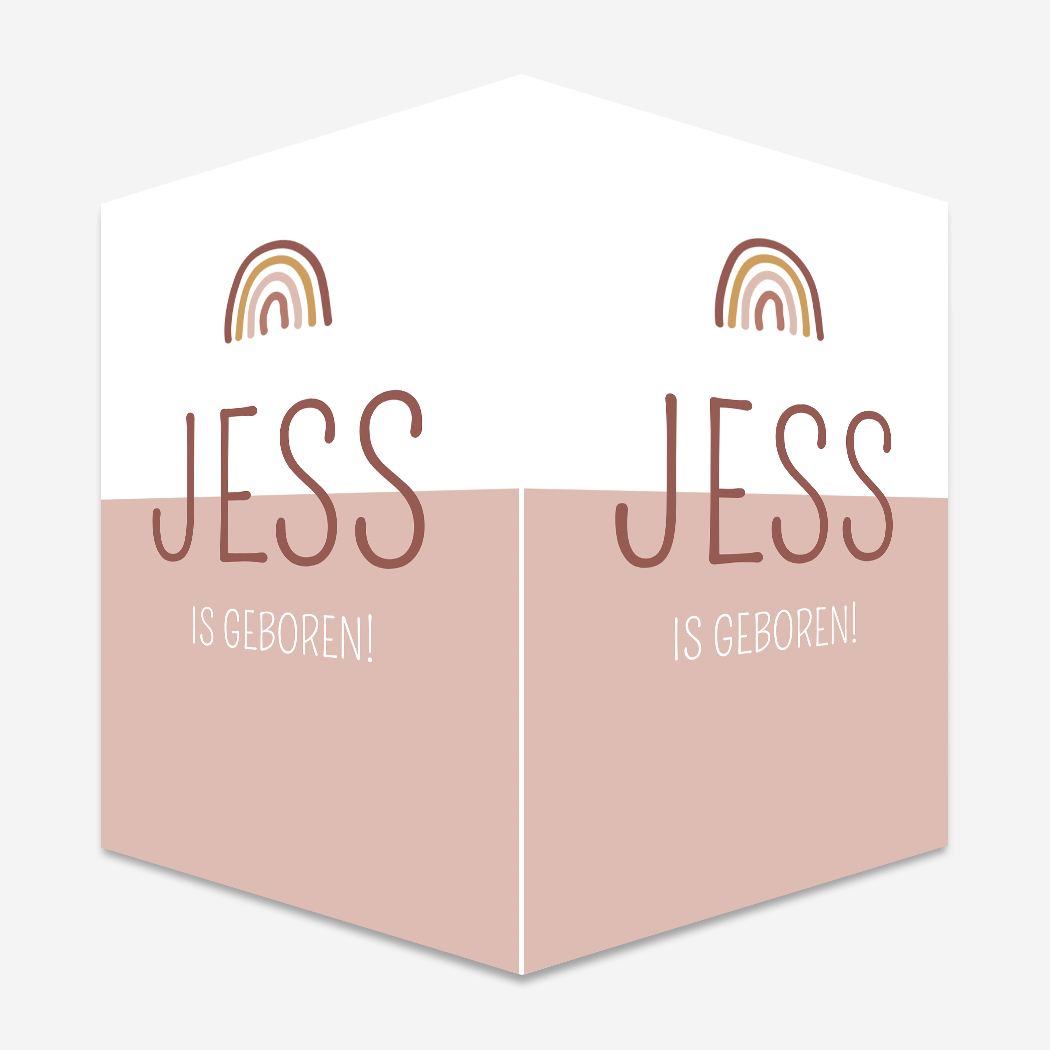 Raambord Roze Regenboog Modern