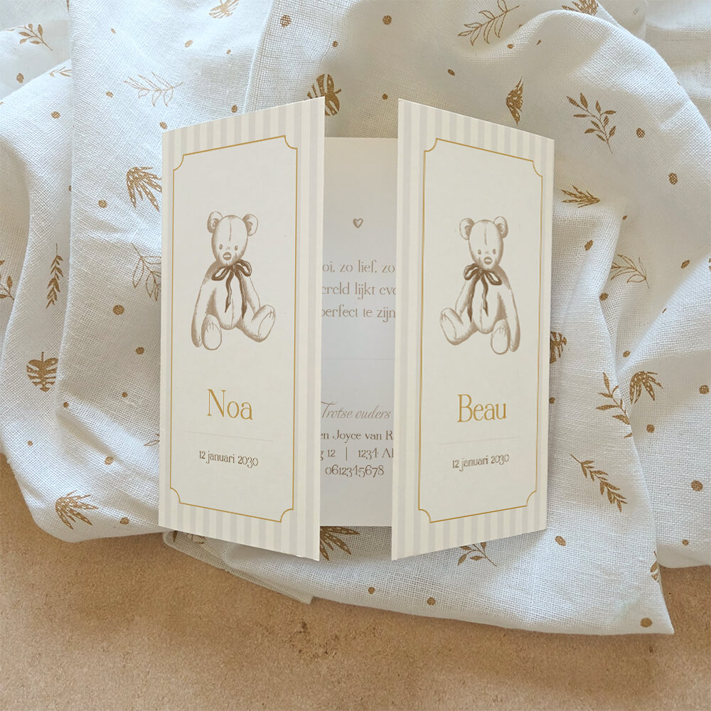 Geboortekaartje tweeling klassiek theatervouw teddybeer