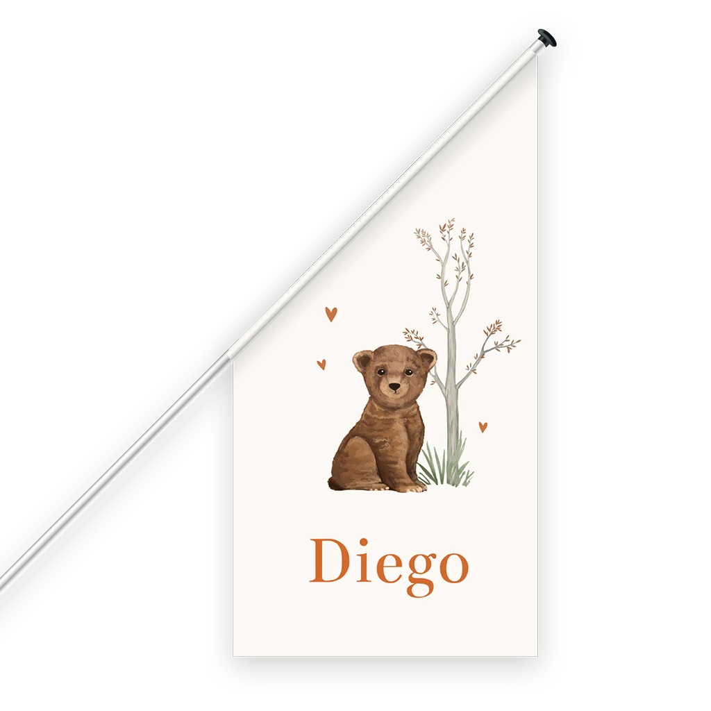 Geboortevlag met naam en lief beertje