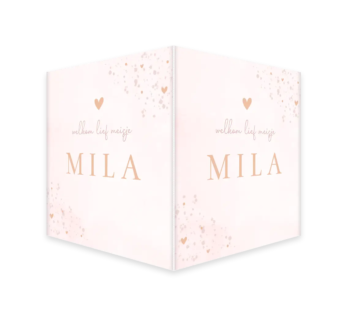 Dubbel raambord roze waterverf met hartjes