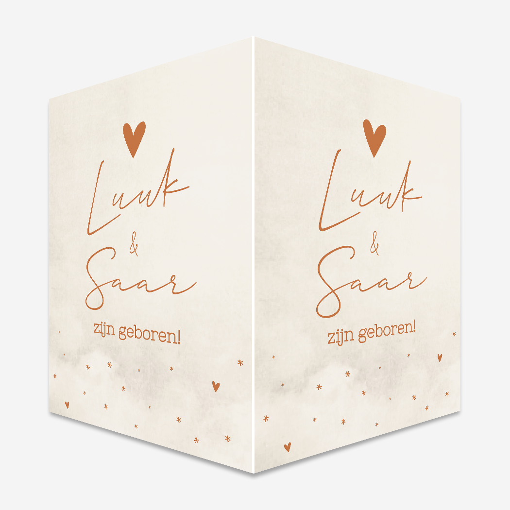 Raambord Tweeling Beige Gewolkt Roestbruin