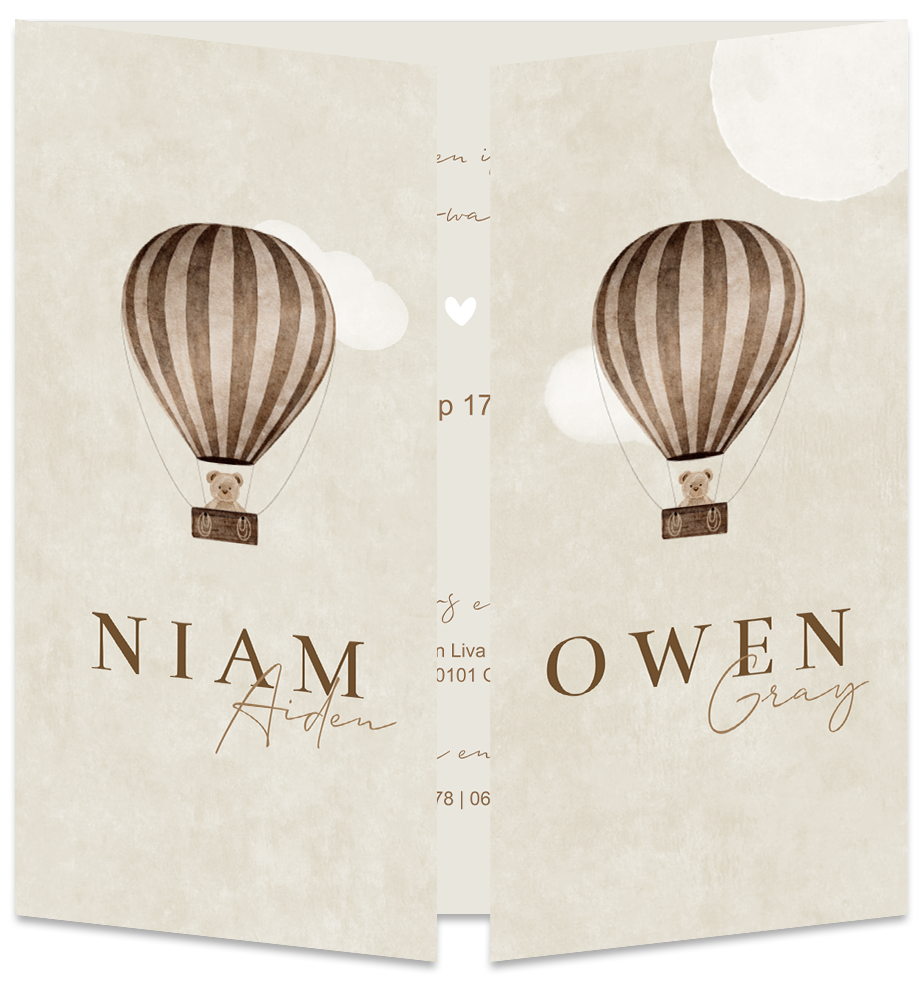 Geboortekaartje Tweeling Luchtballon Teddybeer Luikkaartje