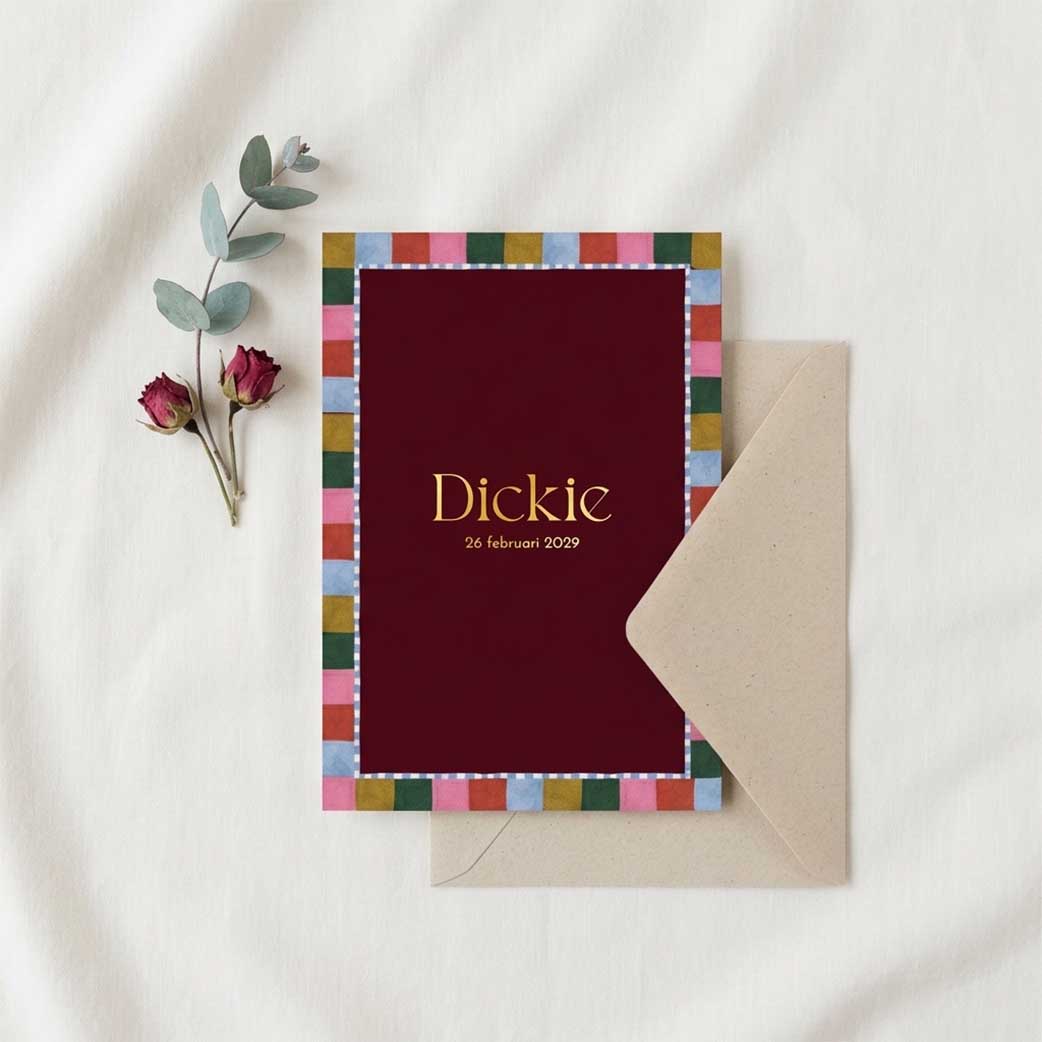 Geboortekaartje meisje kleurrijk geblokt frame