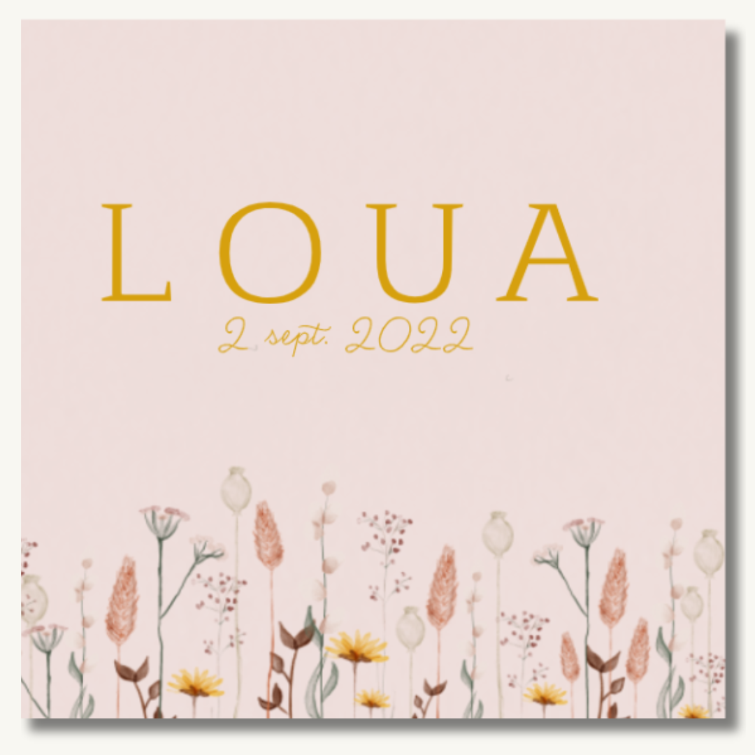 Kraambezoekboek vrolijk bloemen