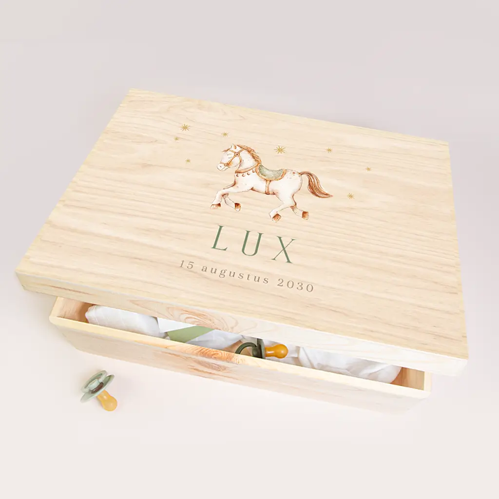 Memorybox met paardje