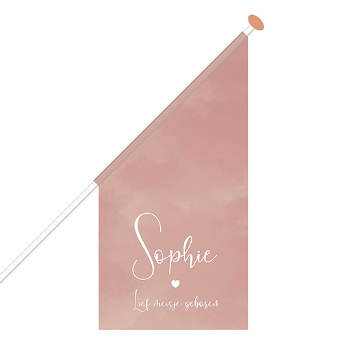 Geboortevlag meisje met naam roze en een hartje