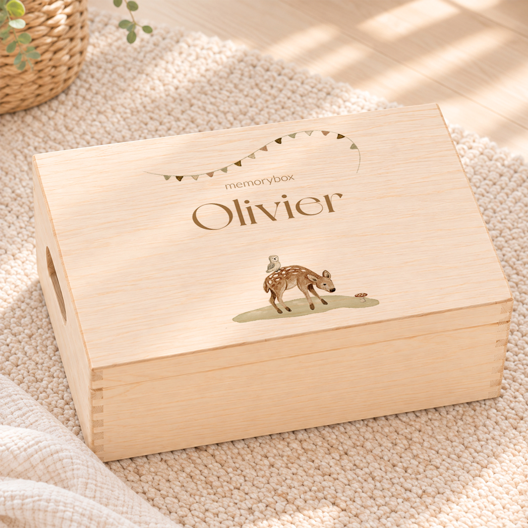 memorybox geboorte hertje met uil en vlaggen getekend