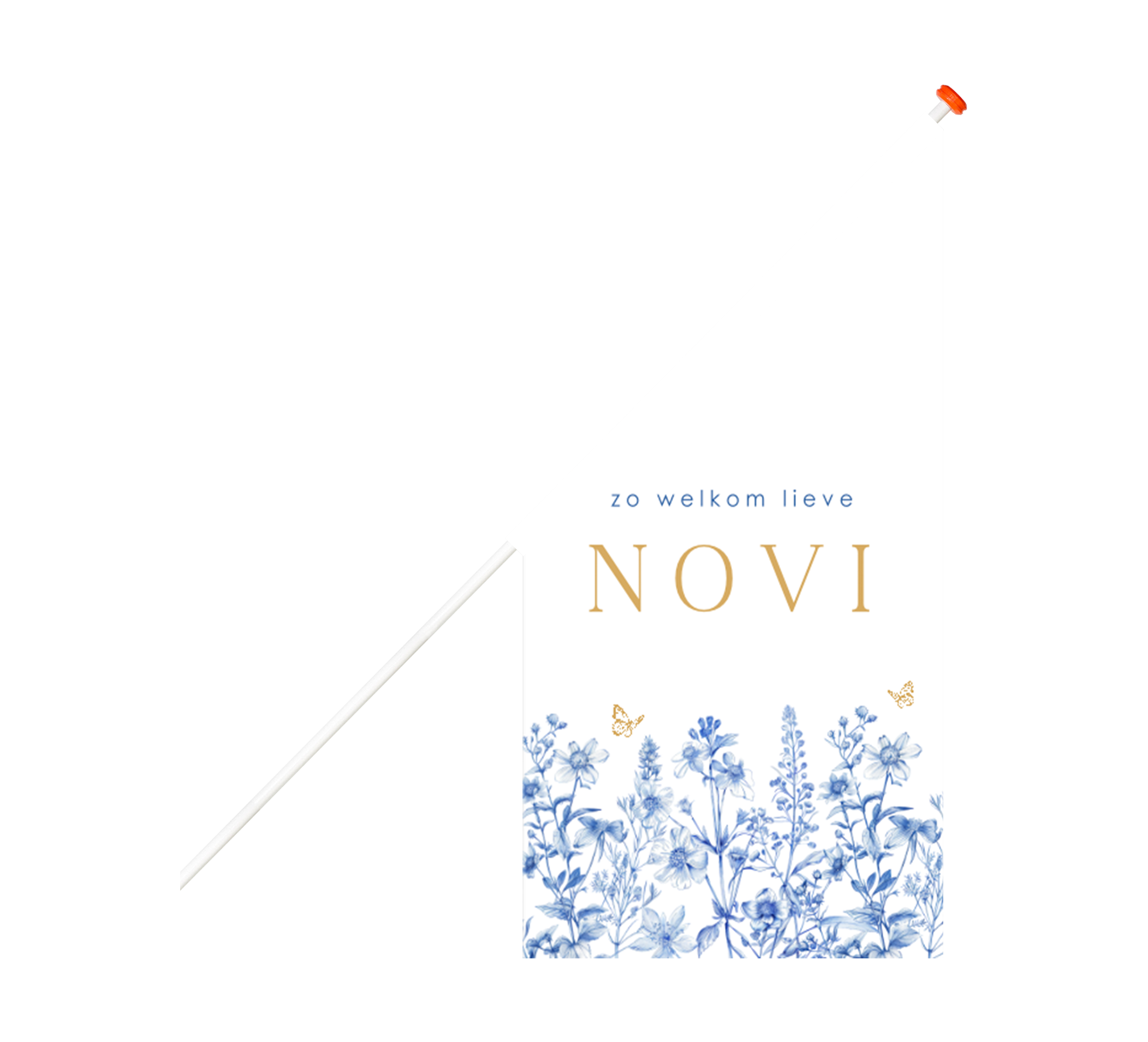 Vrolijke geboortevlag met Delfts blauwe bloemen en vlinders