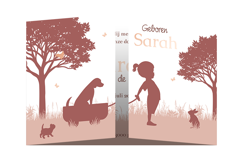 Luikvouw geboortekaartje roze silhouet meisje met hond in kar