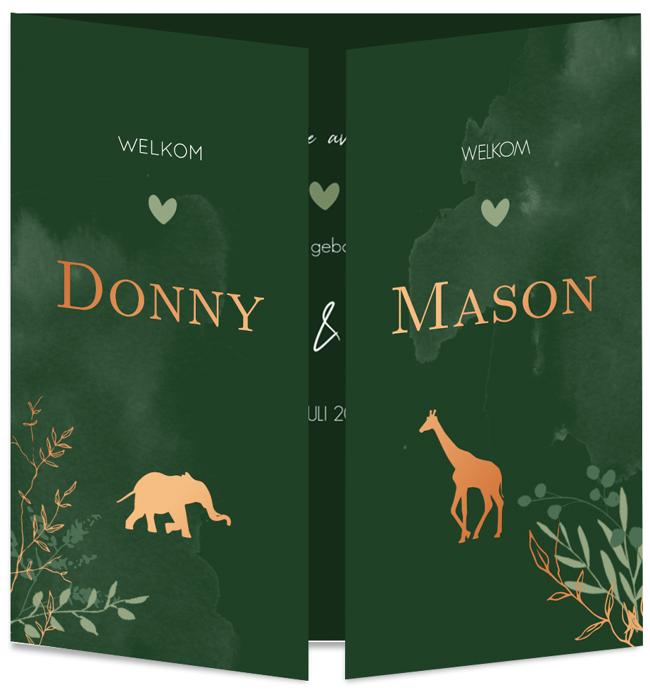 Geboortekaartje Tweeling Dieren Jungle Savanne