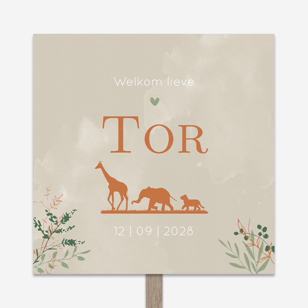 Tuinbord Dieren Savanne Jongetje Beige