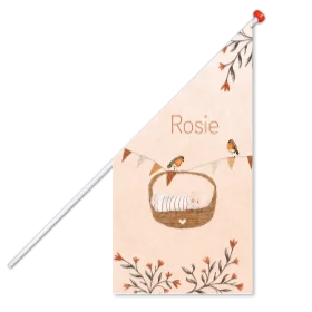 Geboortevlag roodborstjes, vlaggetjes en baby mandje