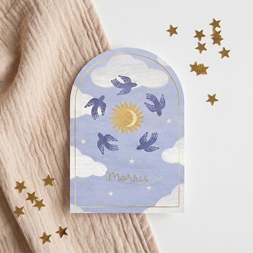 Geboortekaartje jongen vogels zon