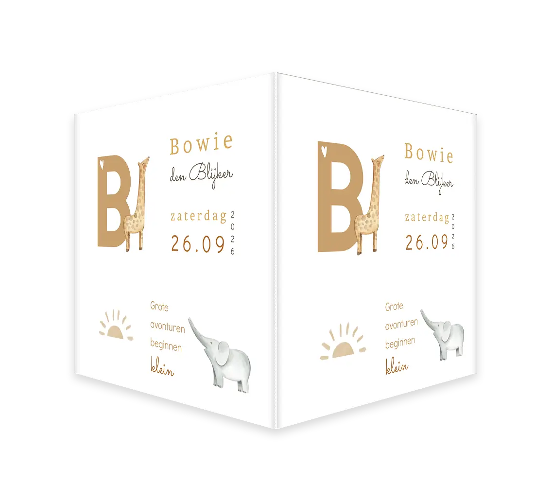 Raambord vierkant met giraffe en olifantje