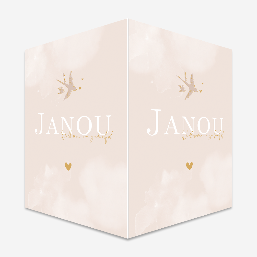 Raambord Vogels Zwaluwen Zachtroze