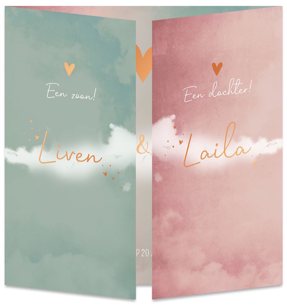 Geboortekaartje Tweeling Luikkaartje Roze Groen