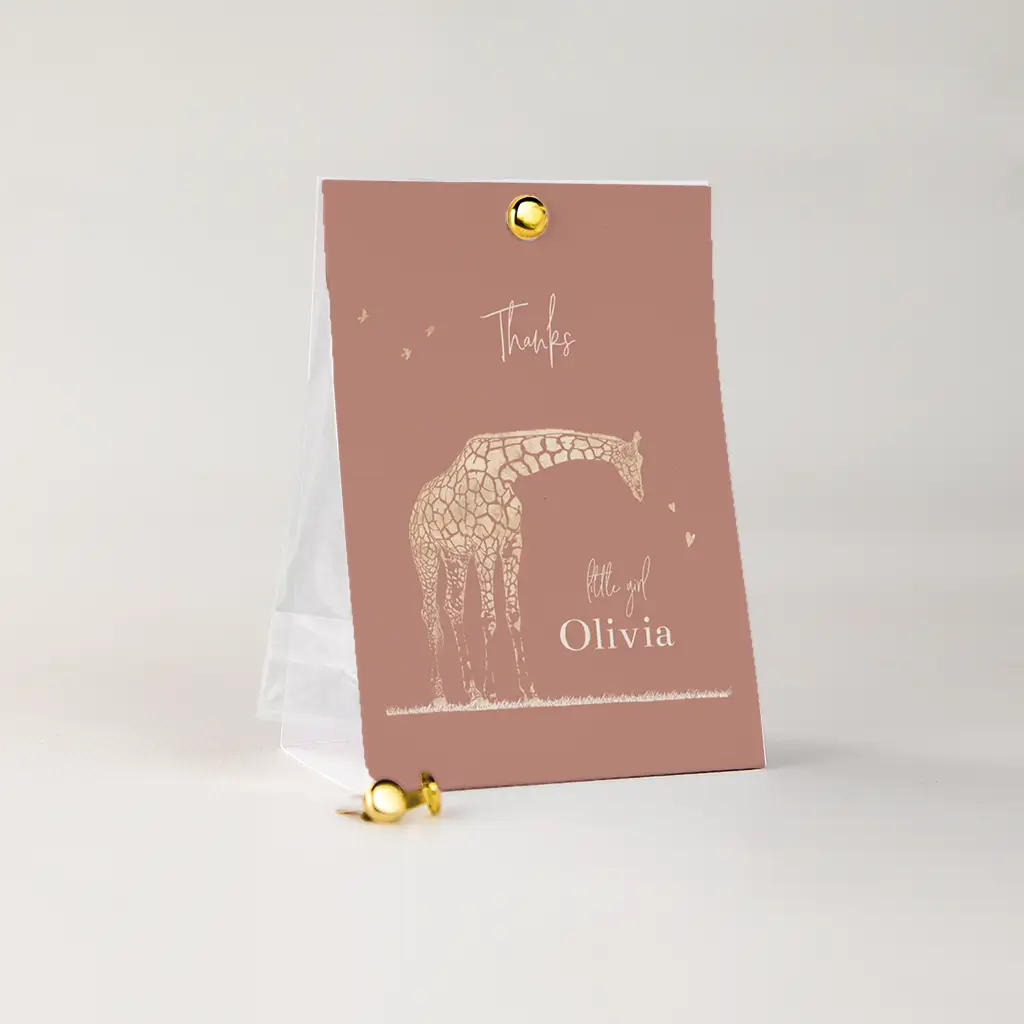 Lief doopsuiker snoepzakje met giraffe, hartjes en vogeltjes