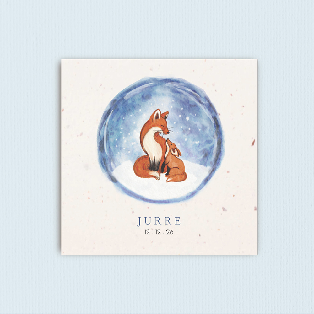 Geboortekaartje winter met vosjes