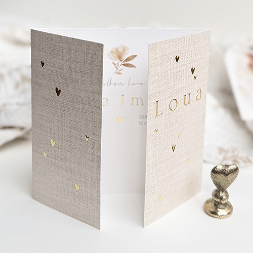 Geboortekaartje meisje met luikjes en strik (lint los bestellen)