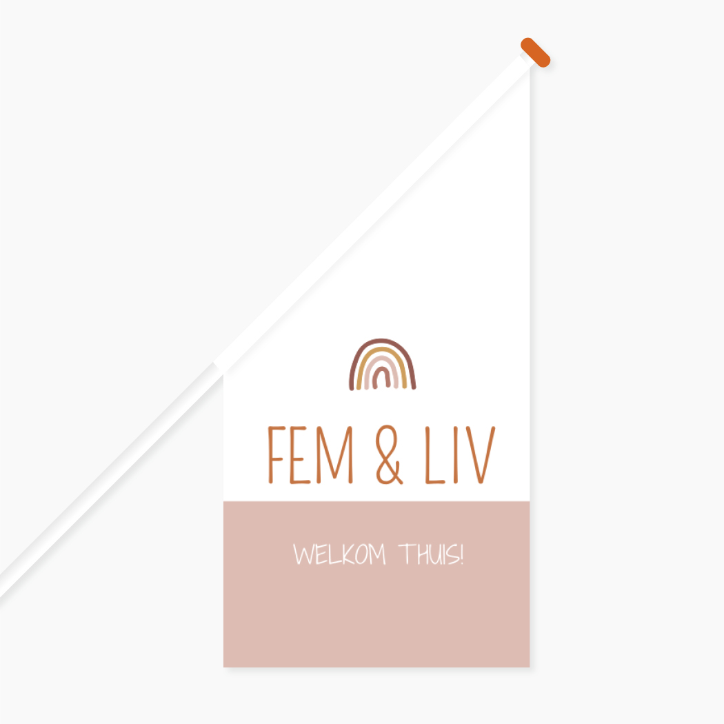 Vlag Tweeling Roze Regenboog Welkom