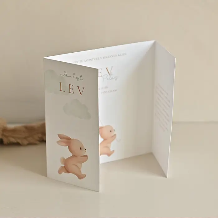 Geboortekaart jongen in theater-vorm met konijn en vlieger