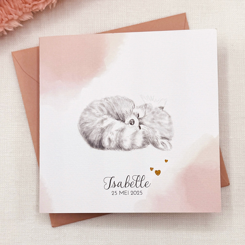 Klassieke geboortekaart waterverf potloodtekening rode panda Isabelle