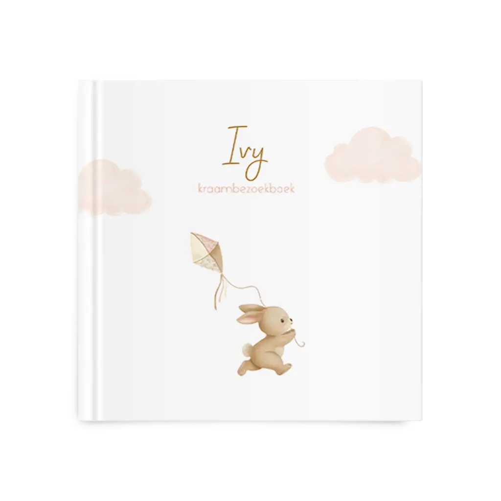 Kraambezoekboek meisje met konijn, vlieger en roze wolkjes