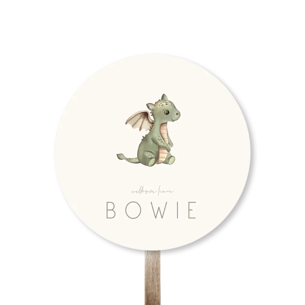 Lief rond tuinbord met baby draakje